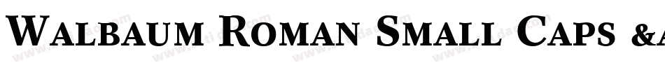 Walbaum Roman Small Caps & Oldstyle Figures字体转换